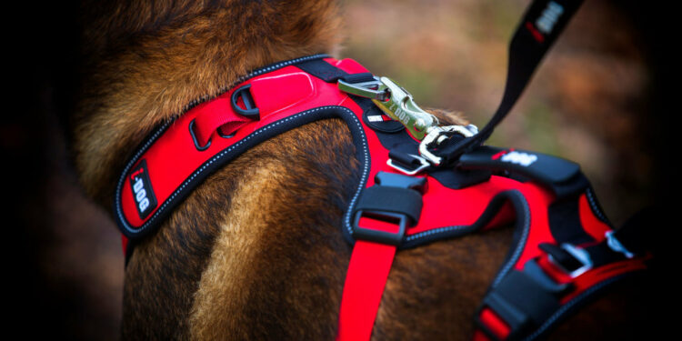 Pourquoi un harnais de traction ?