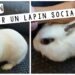Pourquoi un lapin mord son maitre ?