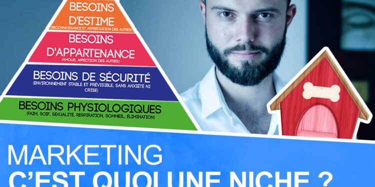 Pourquoi un marché de niche ?