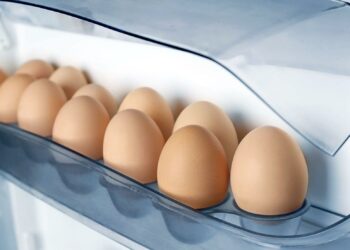 Pourquoi un poussin ne sort pas de sa coquille ?