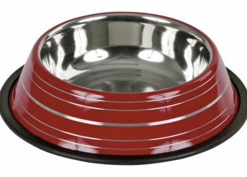 Pourquoi une gamelle orthopédique pour chat ?