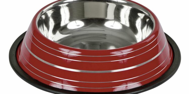 Pourquoi une gamelle orthopédique pour chat ?