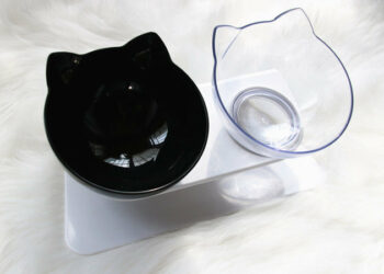 Pourquoi une gamelle orthopédique pour chat ?