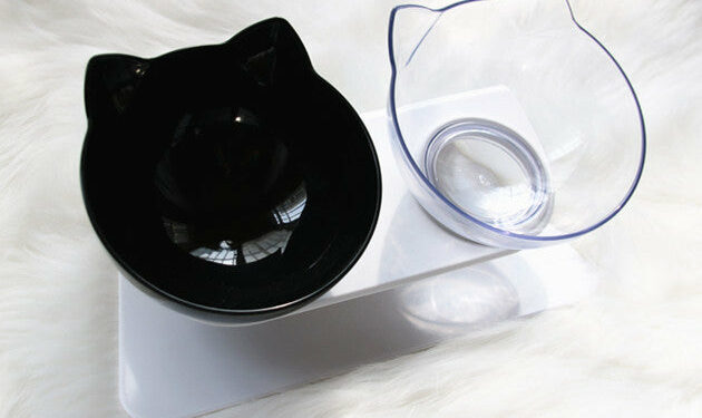 Pourquoi une gamelle orthopédique pour chat ?