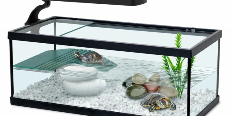Pourquoi une lampe pour les tortues ?