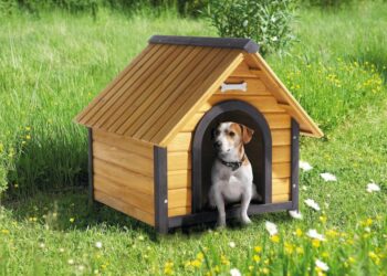 Pourquoi une niche pour un chien ?