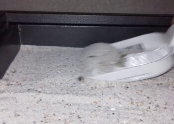 Pourquoi utiliser du vinaigre blanc ?