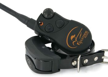 Pourquoi utiliser un collier electrique pour chien ?