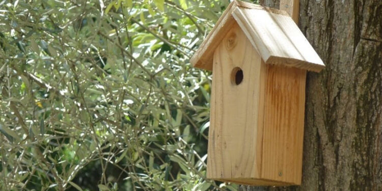 Pourquoi vider les nichoirs ?