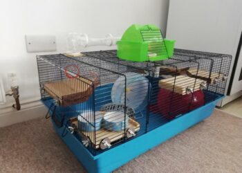 Puis-je emmener mon hamster en voyage ?