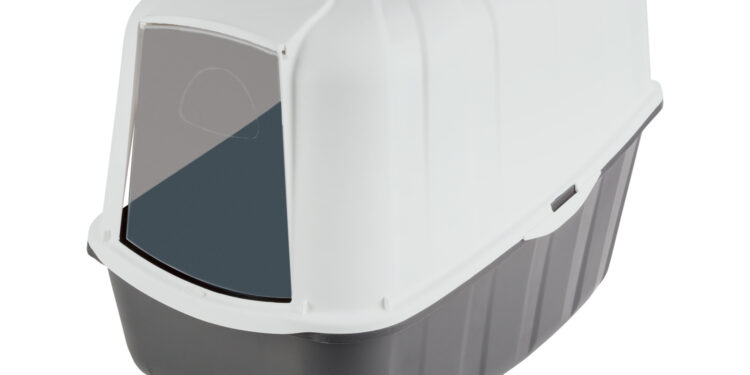 Puis-je laisser mon chat seul pendant 3 semaines ?