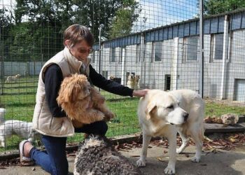 Puis-je laisser mon chien dehors l'hiver ?