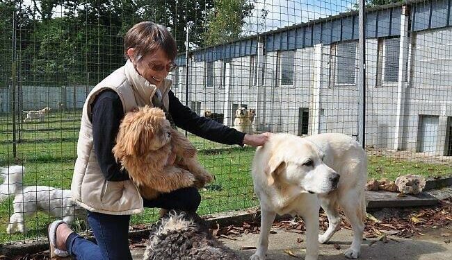 Puis-je laisser mon chien dehors l'hiver ?
