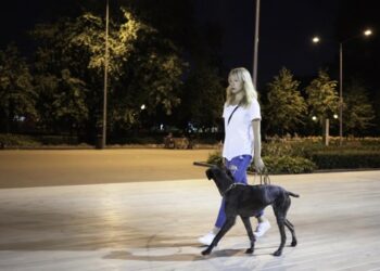 Puis-je laisser mon chien dehors l'hiver ?