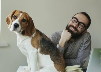 Puis-je laisser mon chien seul 2 jours ?