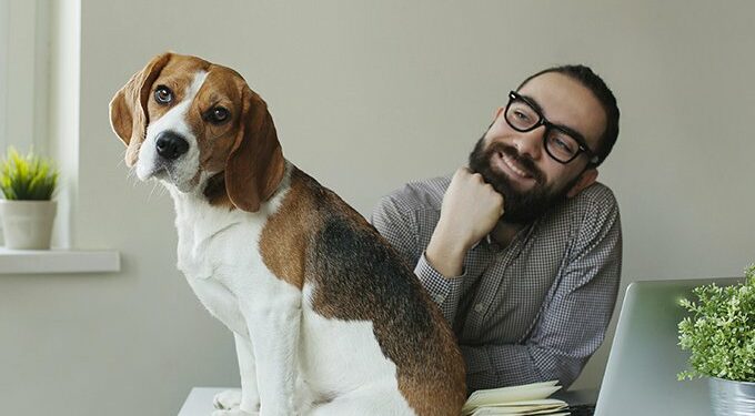 Puis-je laisser mon chien seul 2 jours ?