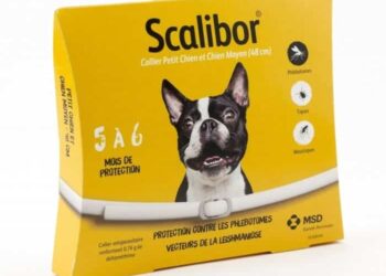 Puis-je laver mon chien avec son collier Anti-puce ?