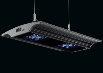 Quand Eteindre la lumière de l'aquarium ?