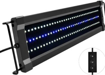 Quand Eteindre la lumière de l'aquarium ?