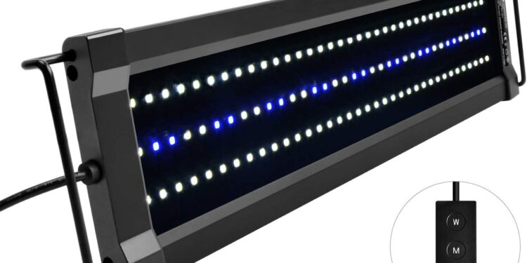 Quand Eteindre la lumière de l'aquarium ?