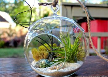 Quand Fermer un terrarium ?