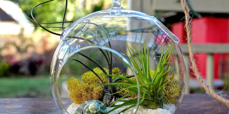 Quand Fermer un terrarium ?