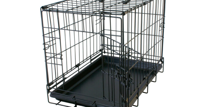 Quand arrêter cage chien ?