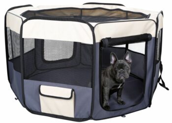 Quand arrêter le parc à chiot ?