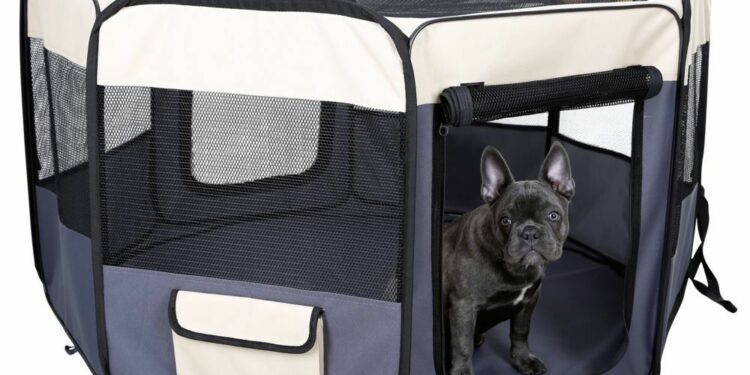 Quand arrêter le parc à chiot ?