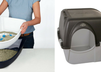 Quand changer la litière ?