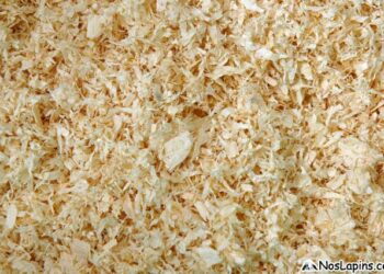 Quand changer la litière d'un lapin ?