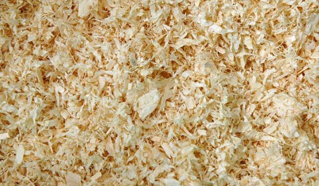 Quand changer la litière d'un lapin ?