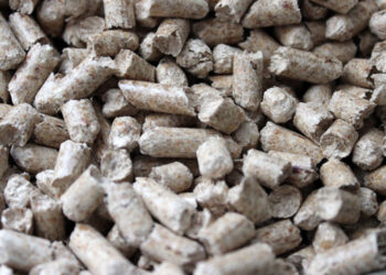 Quand changer la litière d'un lapin ?