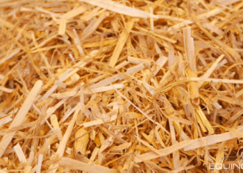 Quand changer la paille du lapin ?