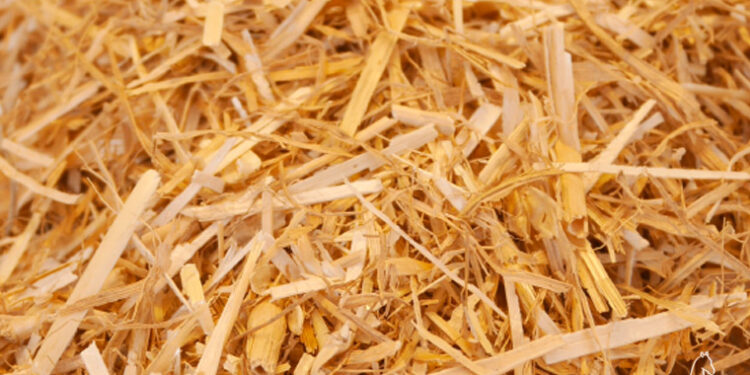 Quand changer la paille du lapin ?