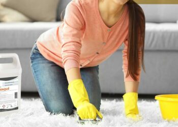 Quand changer l'alèse d'un chiot ?