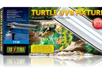 Quand changer lampe UV tortue ?