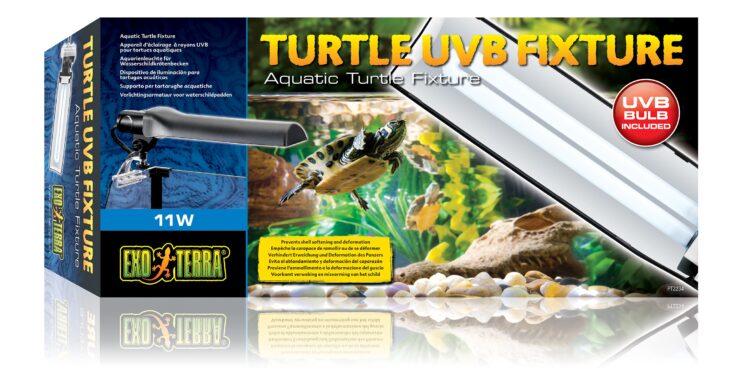 Quand changer lampe UV tortue ?