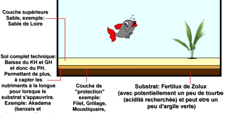 Quand changer le sol d'un aquarium ?