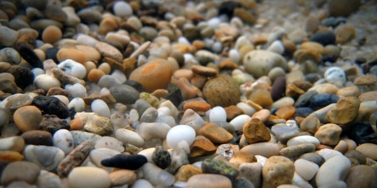 Quand changer le sol d'un aquarium ?