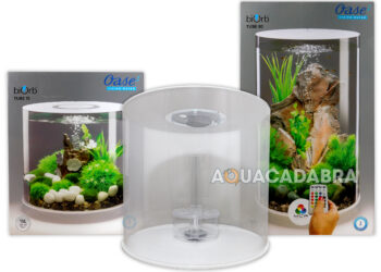 Quand changer l'eau de l'aquarium ?