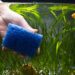 Quand changer l'eau de l'aquarium ?