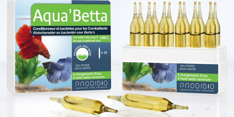 Quand changer l'eau d'un combattant ?