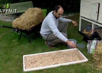 Quand changer litière poules ?