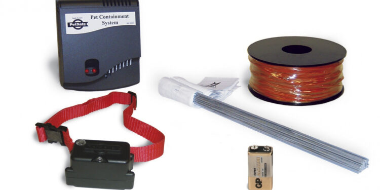 Quand changer pile petsafe ?