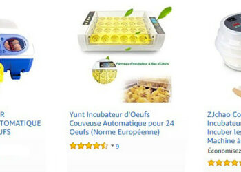 Quand doit arrêter de tourner les œufs dans une couveuse ?