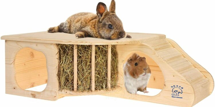 Quand donner du foin au lapin ?