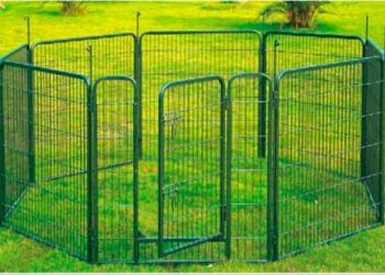 Quand enlever le parc de son chiot ?