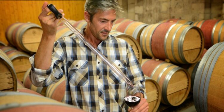 Quand humidifier les œufs ?