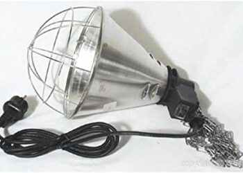 Quand le chiot regule sa température ?